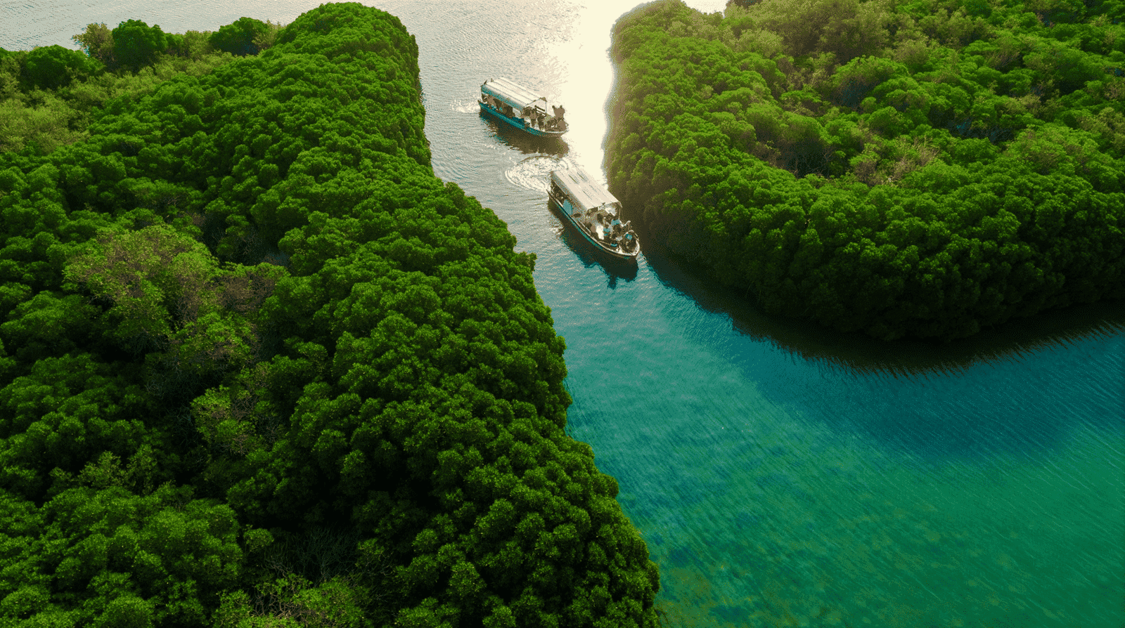 Farasan Tour (Private Tour)